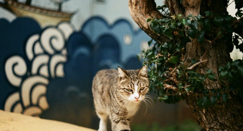 Antalya Turkije 14 Antalya Turkije 14